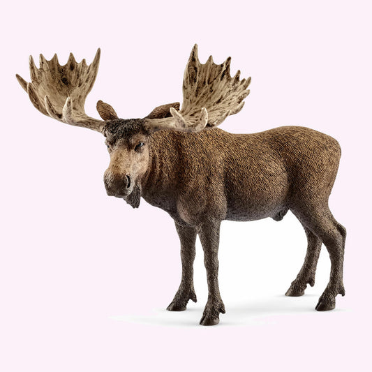 Schleich Wild Life Elchbulle, Elch, Hirsch Bulle, Wildtier, Tier, Spielfigur, H 10 cm, 14781
