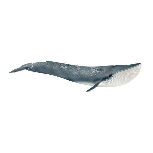 Schleich Wild Life Blauwal, Wal, Säugetier, Meerestier, Wildtier, Spielfigur, 4.9 cm, 14806
