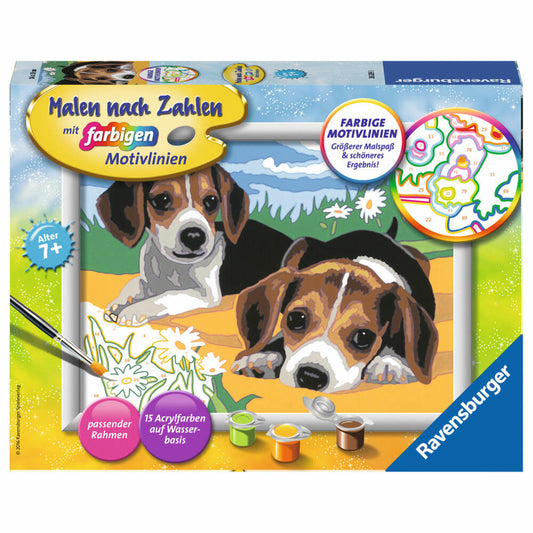 Ravensburger Paint By Numbers Jack Russel Puppies, Painting Set, Coloring Page, Template, Picture, Children, Colored Motif Lines, 28329 3