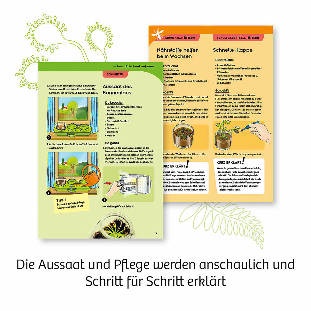 KOSMOS Fleischfressende Pflanzen, Garten, Anpflanzen, Spielen, Bauen, Entdecken, ab 8 Jahre, 632137
