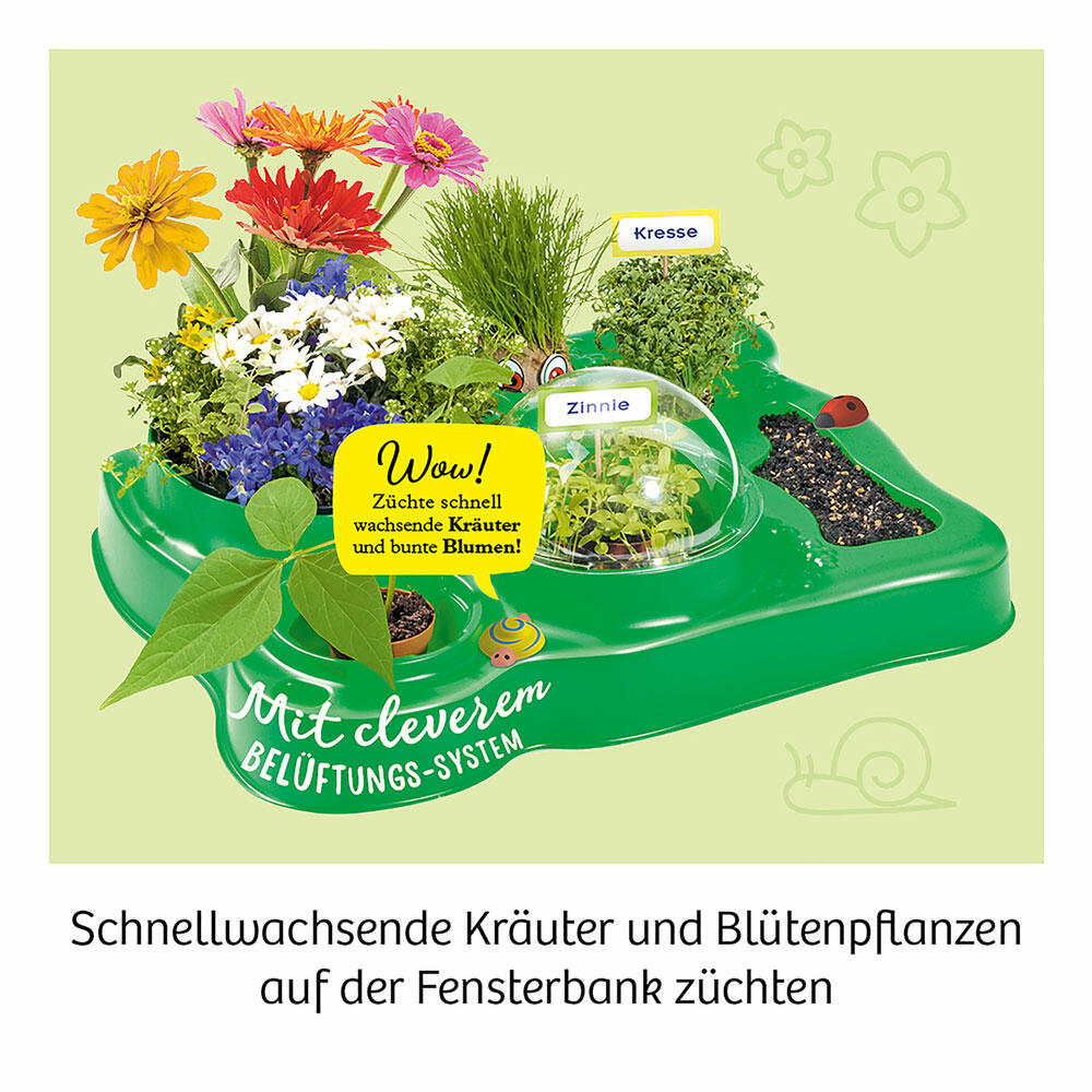 KOSMOS Mein erstes Gewächshaus, Garten, Anpflanzen, Spielen, Bauen, Entdecken, ab 5 Jahre, 632083