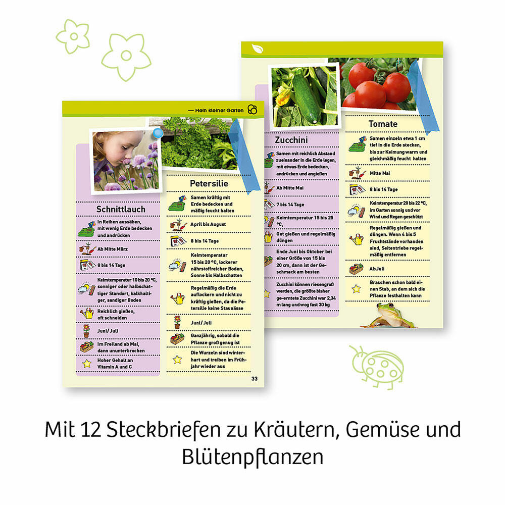 KOSMOS Mein erstes Gewächshaus, Garten, Anpflanzen, Spielen, Bauen, Entdecken, ab 5 Jahre, 632083