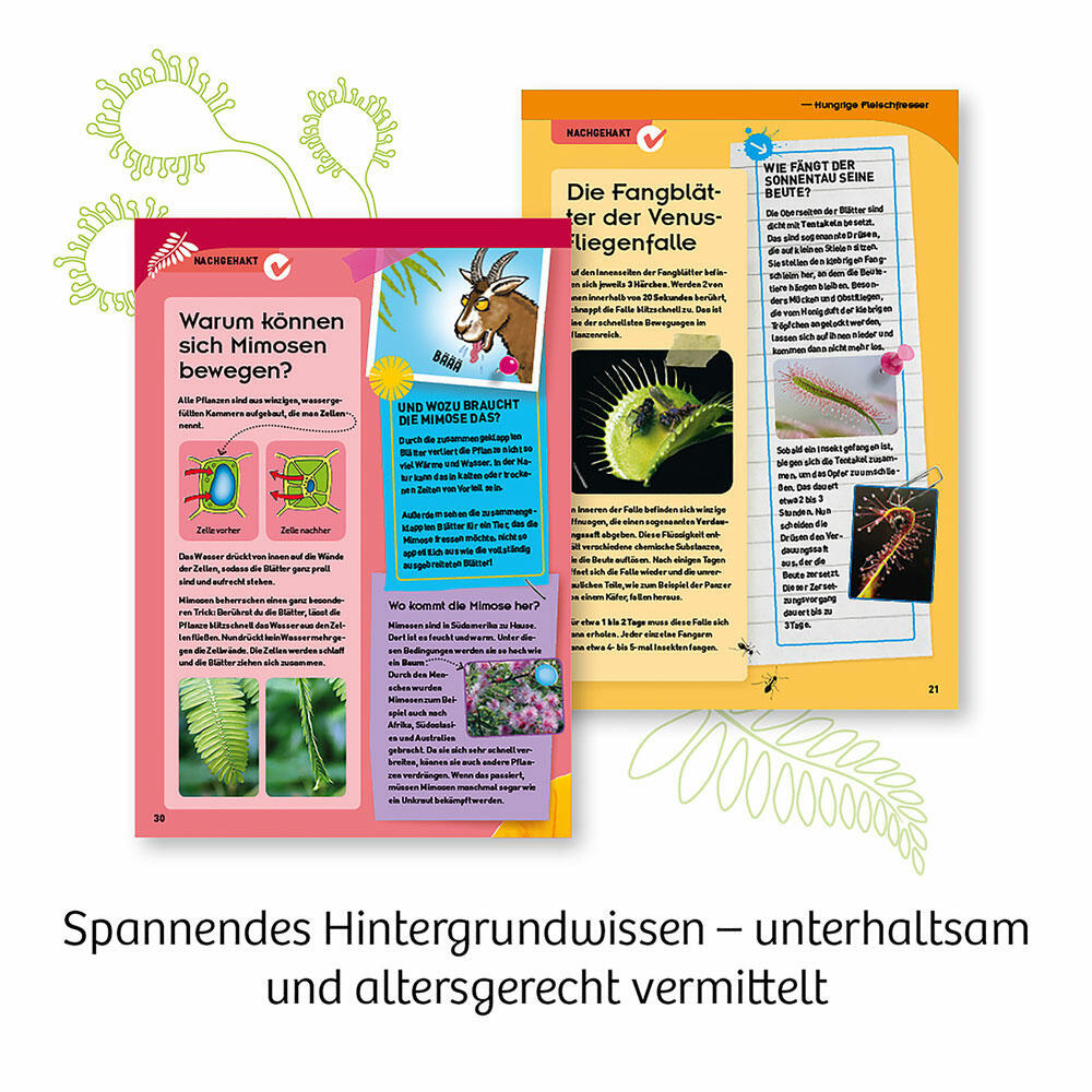 KOSMOS Fleischfressende Pflanzen, Garten, Anpflanzen, Spielen, Bauen, Entdecken, ab 8 Jahre, 632137