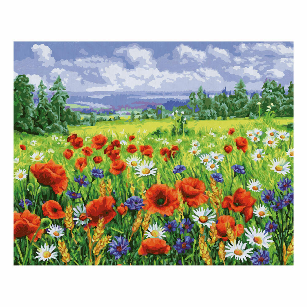 Schipper Malen nach Zahlen Blumenwiese, Meisterklasse Premium, Malvorlage, Wandbild, 40 x 50 cm, 609130824