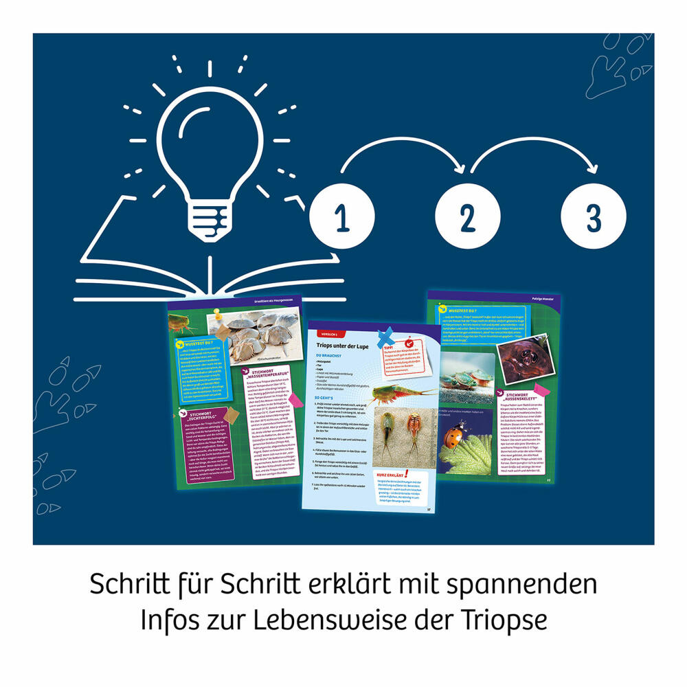 KOSMOS Triops World INT, Experimentierkasten, Urzeitkrebse, Aufzucht, ab 8 Jahren, 617547