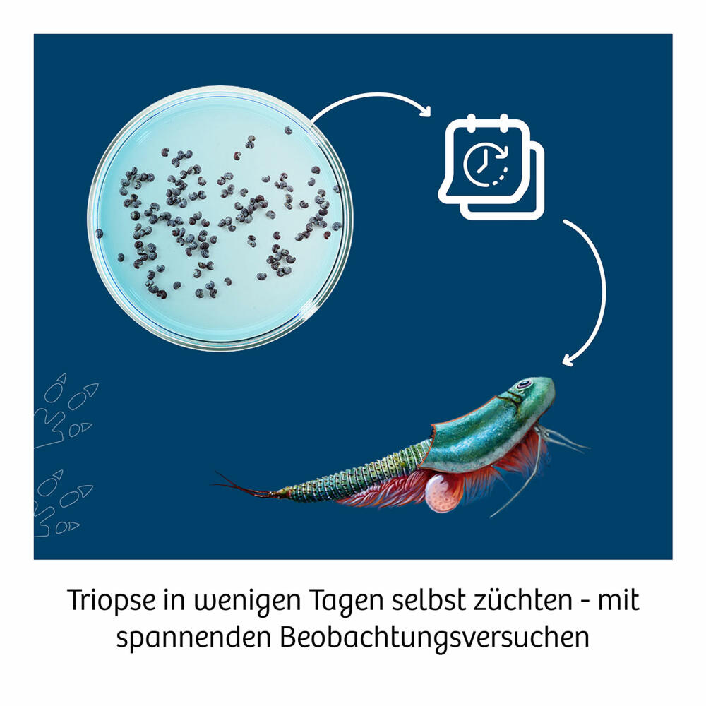 KOSMOS Triops World INT, Experimentierkasten, Urzeitkrebse, Aufzucht, ab 8 Jahren, 617547
