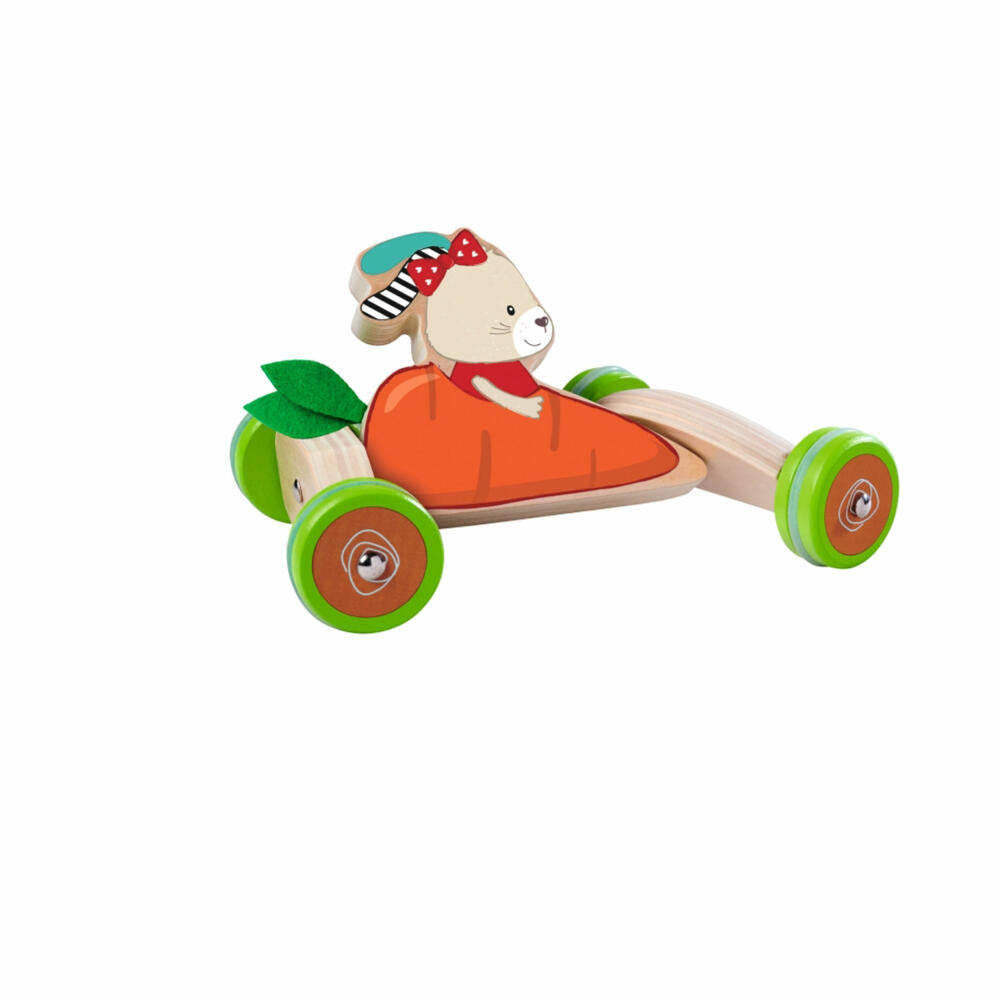 Eichhorn push vehicle, push toy, vehicle, children's toy, children's toy, 100005468