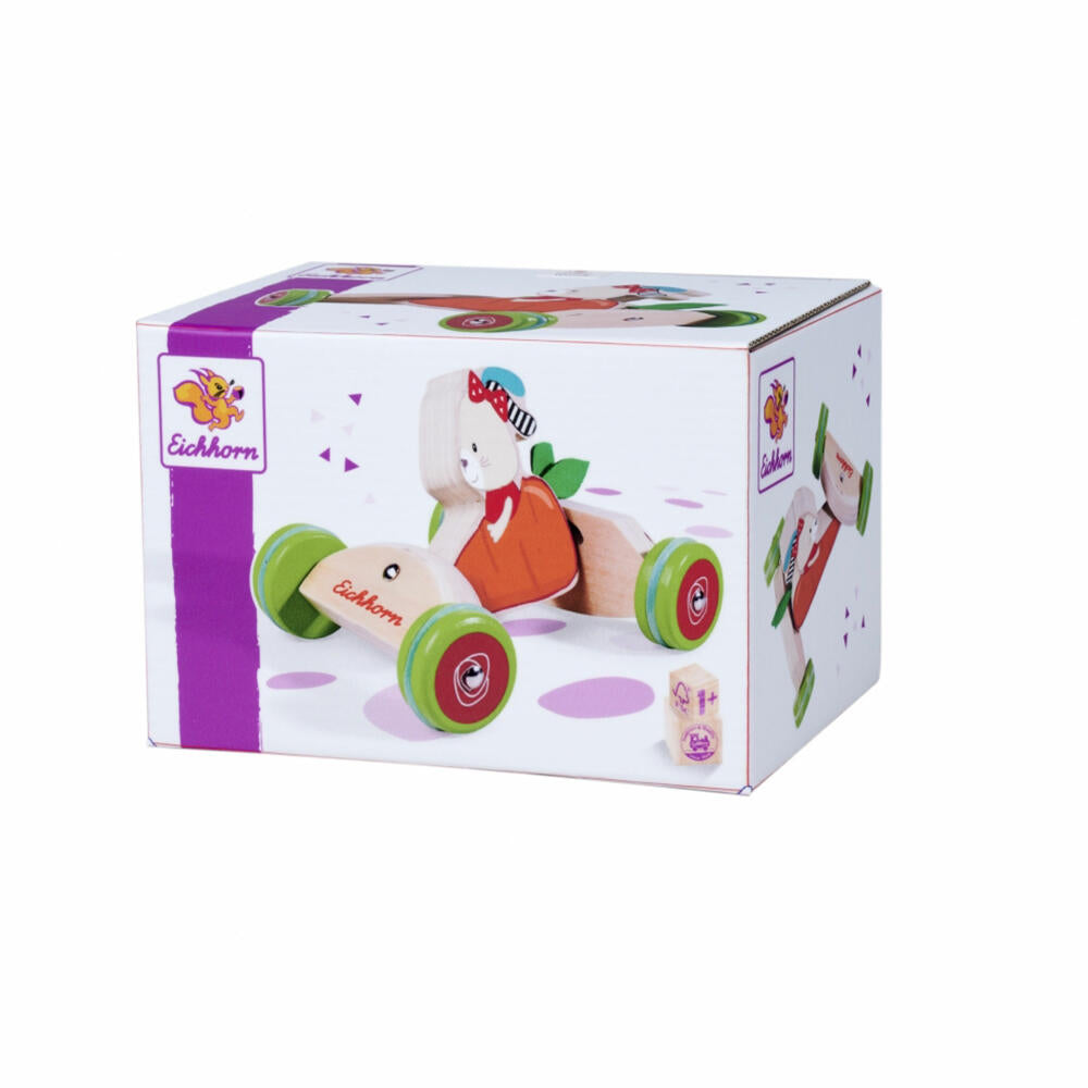 Eichhorn push vehicle, push toy, vehicle, children's toy, children's toy, 100005468
