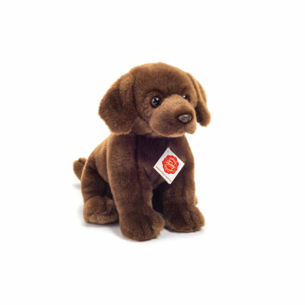 Teddy Hermann Labrador sitzend, Plüschtier, Kuscheltier, Hund, Haustier, Hündchen, Plüsch, Dunkelbraun, 25 cm, 919582