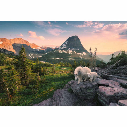 Ravensburger Almbock mit Baby, Puzzle, Erwachsenenpuzzle, 3000 Teile, 12000809