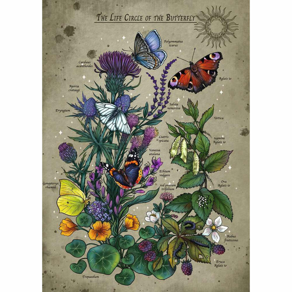 Ravensburger Lebenskreis eines Schmetterlings, Puzzle, Erwachsenenpuzzle, 1000 Teile, 12001435