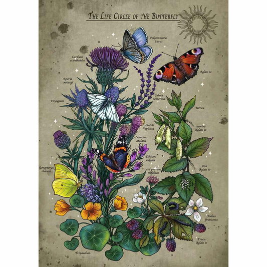 Ravensburger Lebenskreis eines Schmetterlings, Puzzle, Erwachsenenpuzzle, 1000 Teile, 12001435