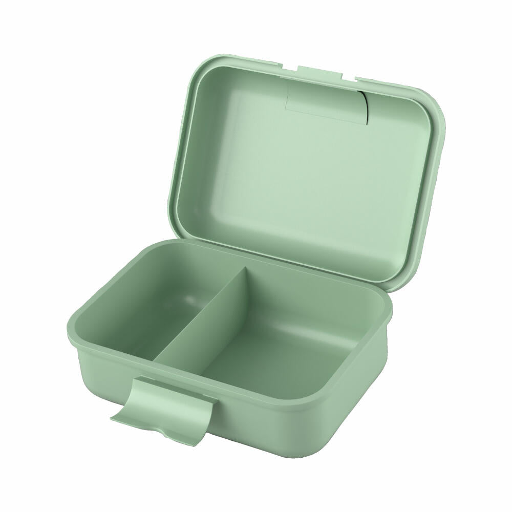 HABA Brotdose Wald, Frühstücksdose, Lunchbox, Kinder, Kunststoff, 2012442003