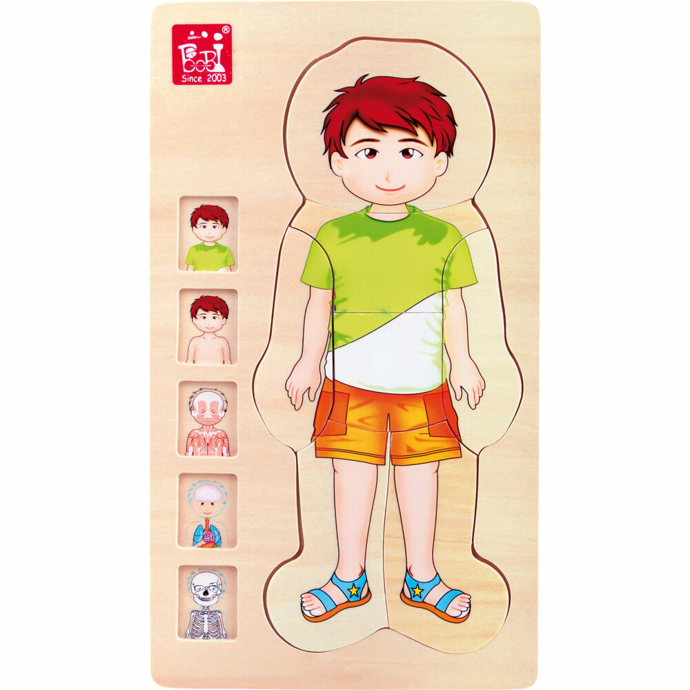Legler Small Foot Schichtenpuzzle Anatomie Junge, Lernspielzeug, ab 4 Jahre, Holz, Bunt, 5842