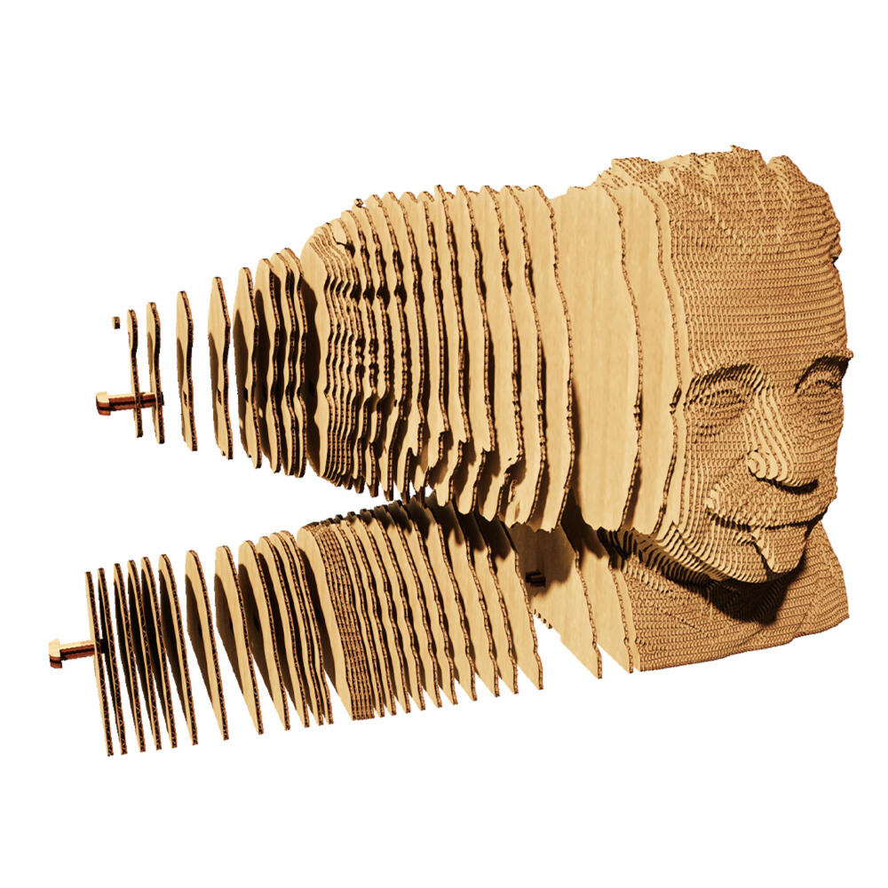 Cartonic 3D-Puzzle Albert Einstein, Büste, Papp-3D-Bausatz, Pappe, 172 Teile, CARTMALB