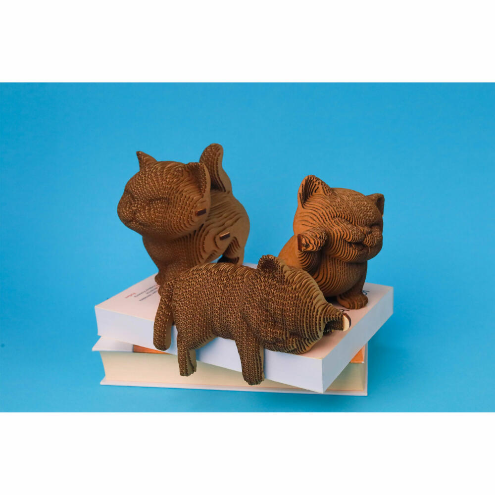 Cartonic 3D-Puzzle Kittens Trio, 3 Kätzchen, Papp-3D-Bausatz, Pappe, 254 Teile, CARTKITTENS