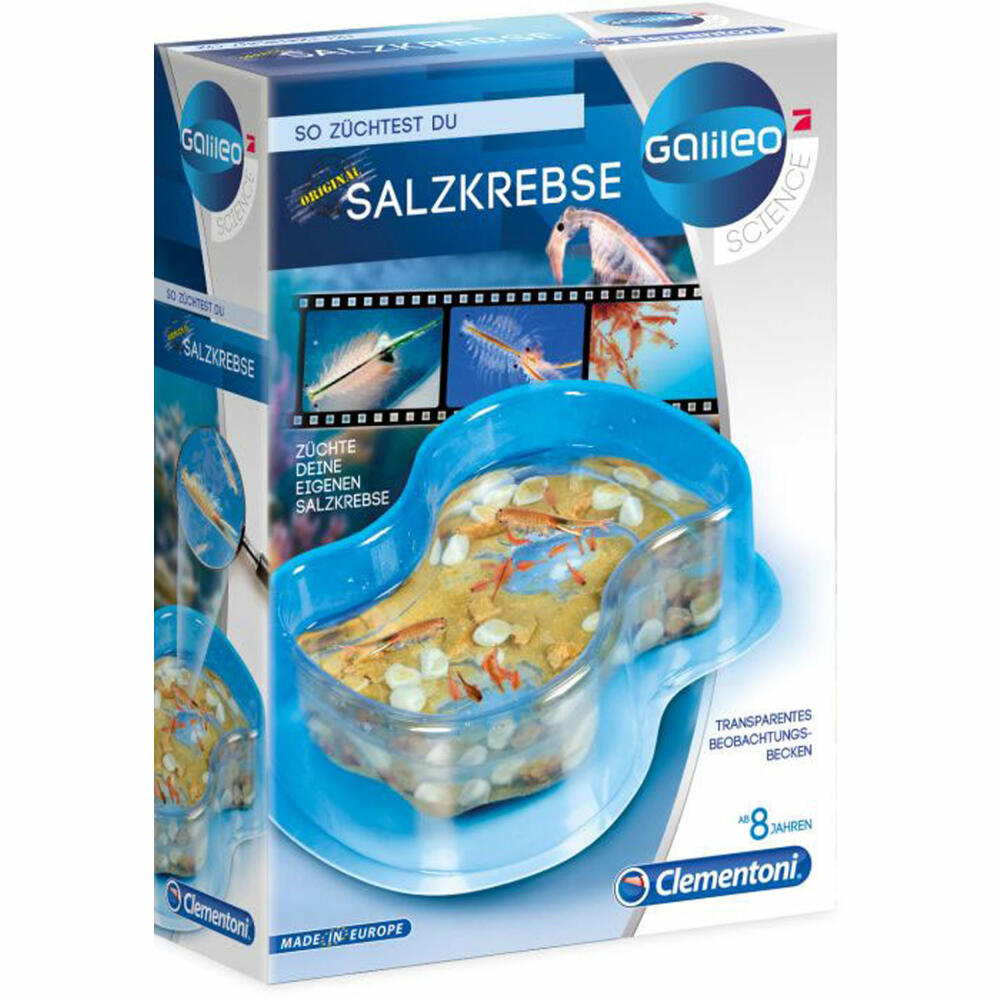 Clementoni Galileo - Original salt crabs