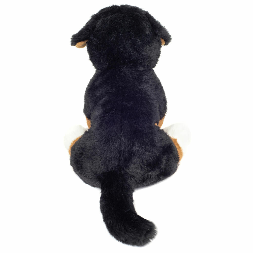 Teddy Hermann Bernese Mountain Dog sitting, cuddly toy, stuffed toy, plush toy, dog, 26 cm, 919797