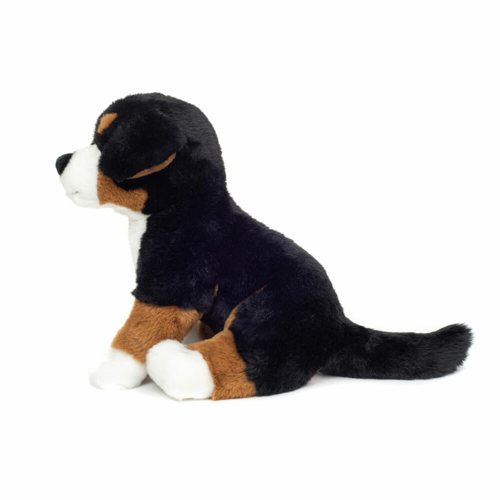 Teddy Hermann Bernese Mountain Dog sitting, cuddly toy, stuffed toy, plush toy, dog, 26 cm, 919797