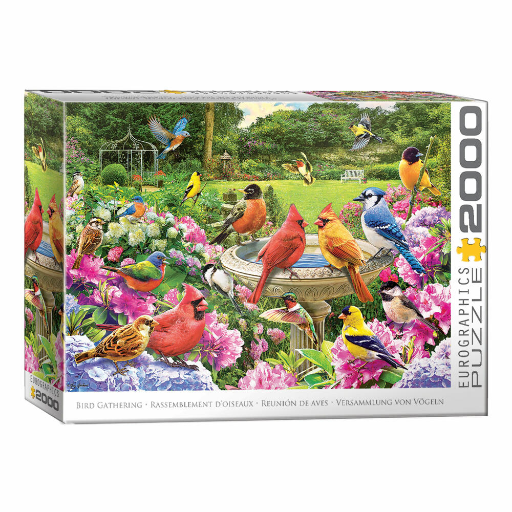Eurographics Puzzle Gartenvögel Treffen, 2000 Teile, 68 x 97 cm, 8220-6134