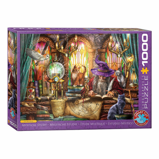 Eurographics Puzzle Mystisches Studium, 1000 Teile, 68 x 48 cm, 6000-6034