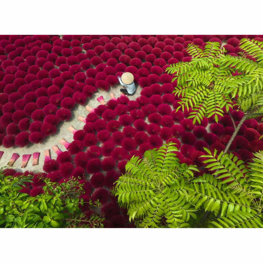 Ravensburger Ein Meer aus Rot, Puzzle, Erwachsenenpuzzle, 500 Teile, 12001707