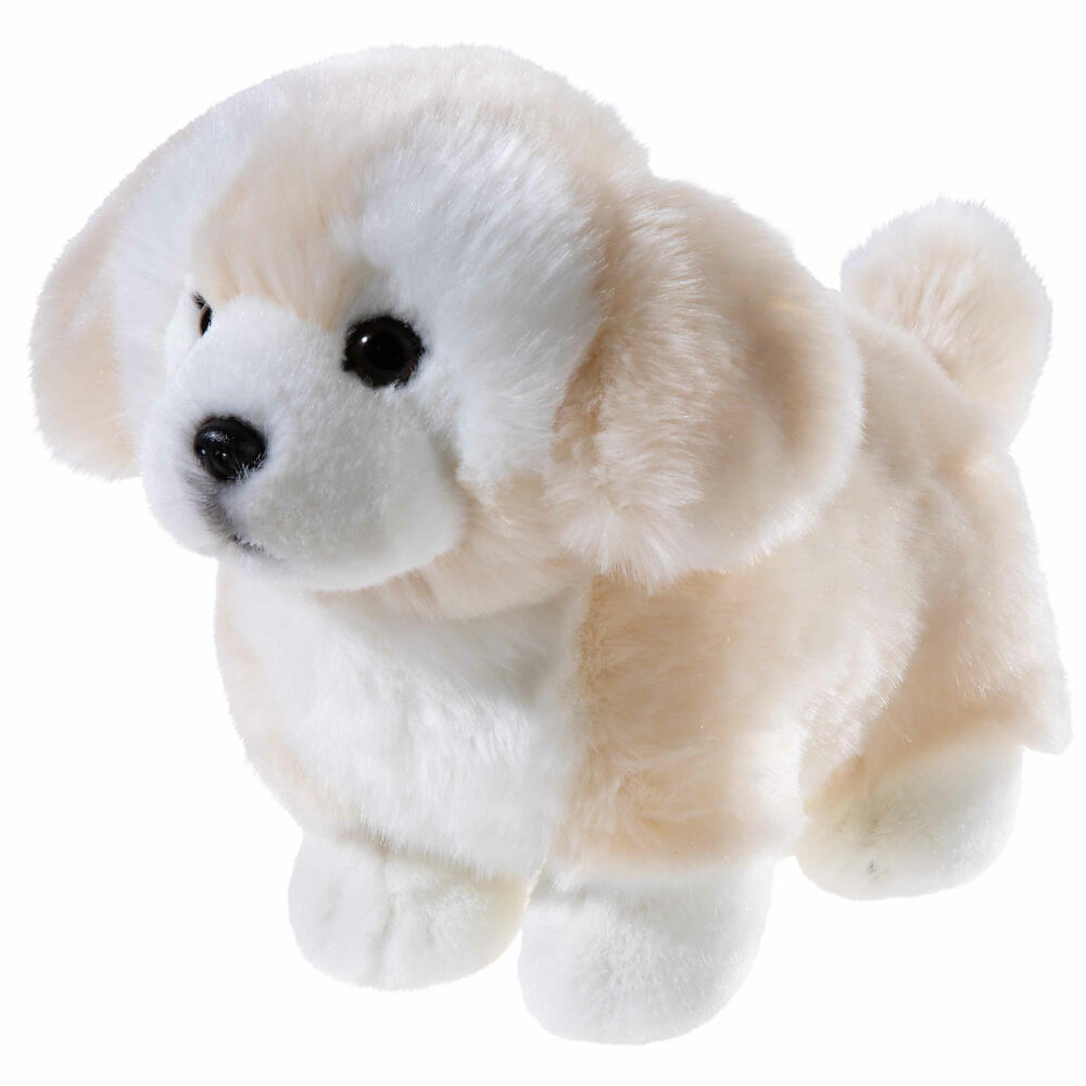 Heunec Misanimo Short Legs Club Terrier, Kuscheltier, Plüschtier, Stofftier, 28 cm, 290976