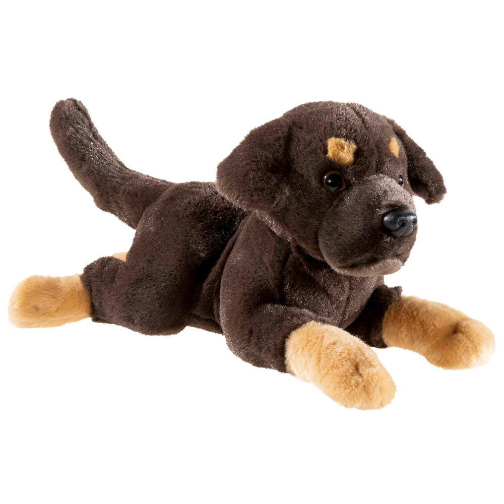 Heunec Puppy Labrador liegend, Kuscheltier, Plüschtier, Stofftier, 30 cm, 291577